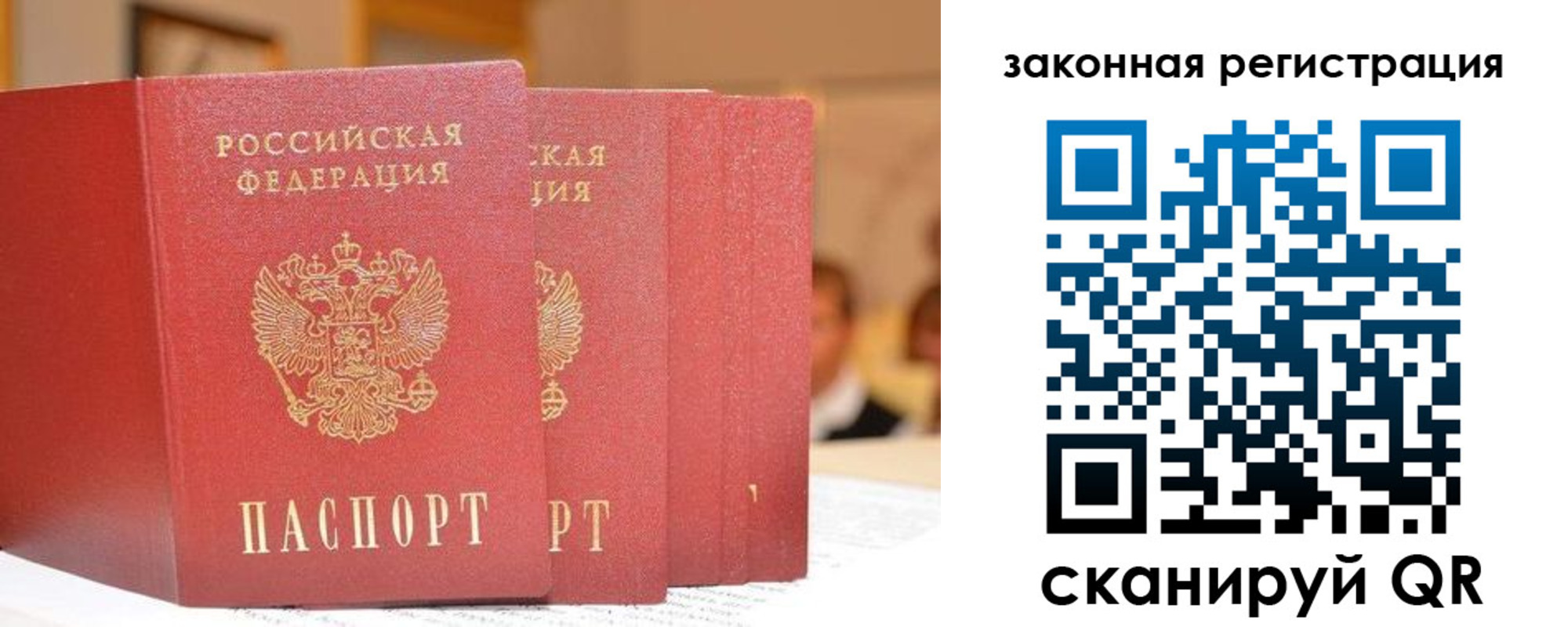 прописка поиск в Егорьевске